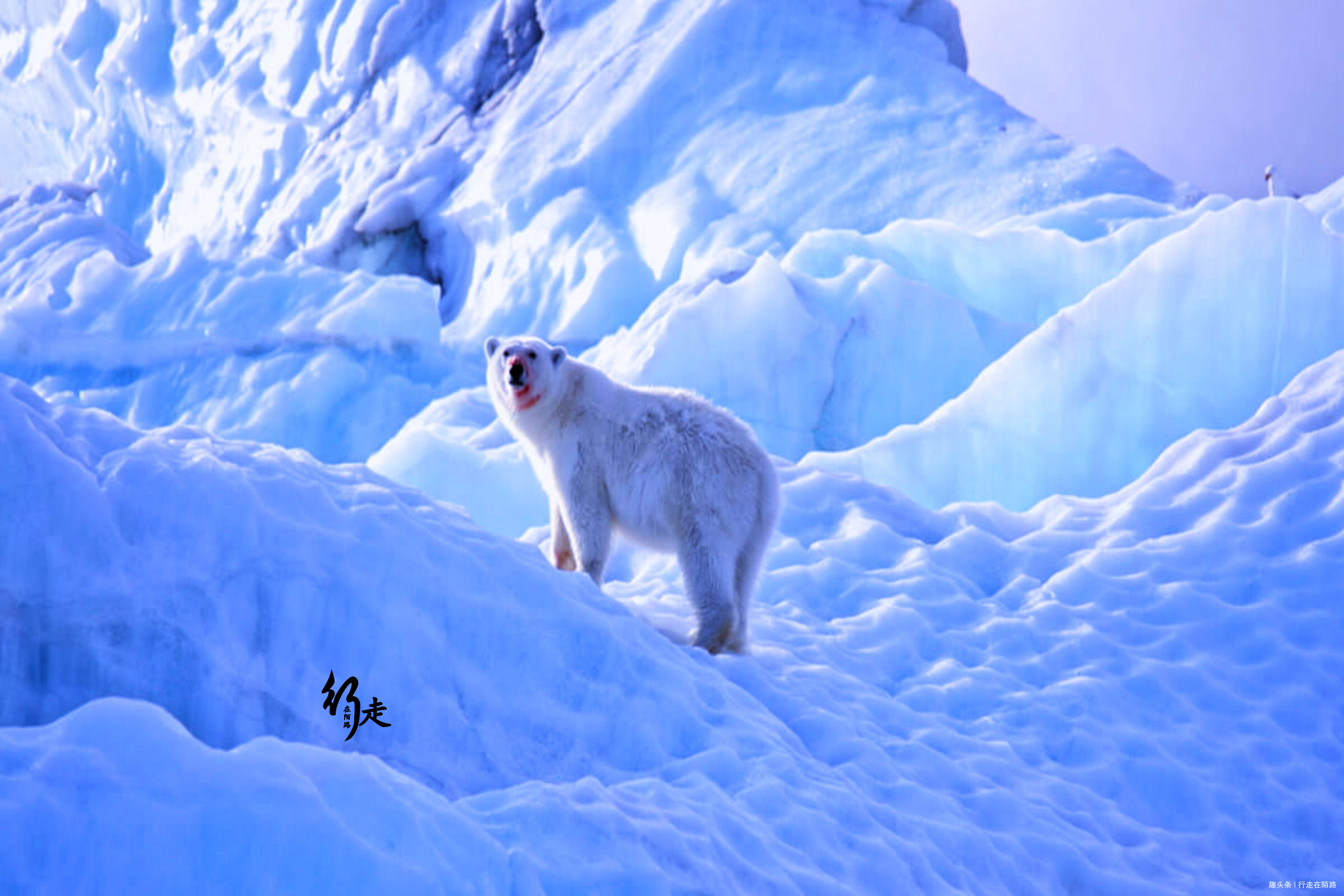 全球|全球最大行政区350万平方公里仅4万人口,8户人被骗57年