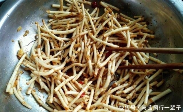 到处|天然青霉素。清热解毒,消炎生火。南方农村到处都是