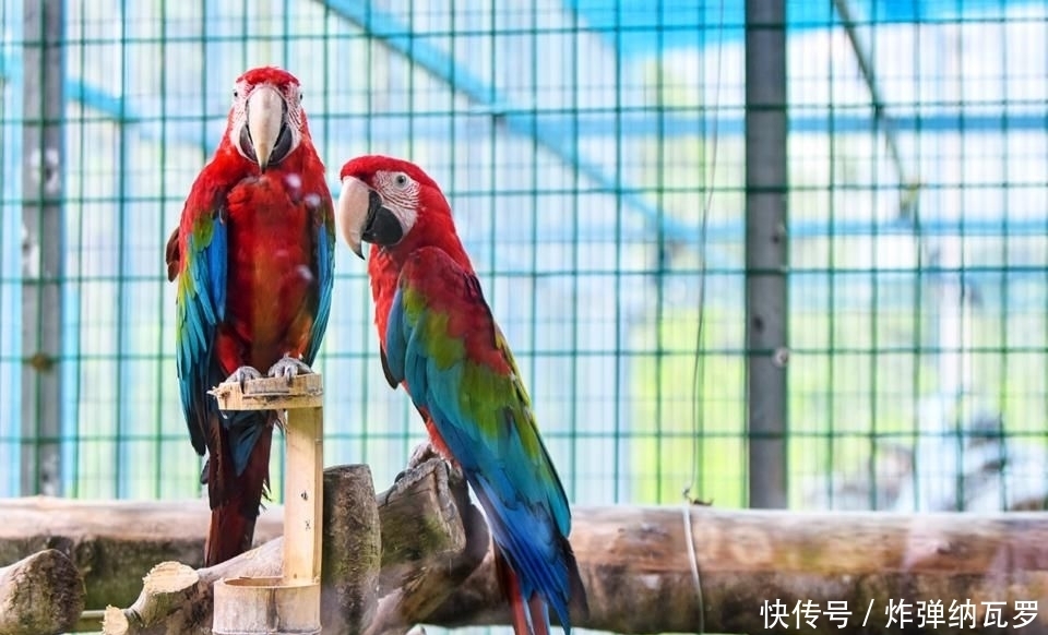  青山|青山环绕，清池密布，空气清新