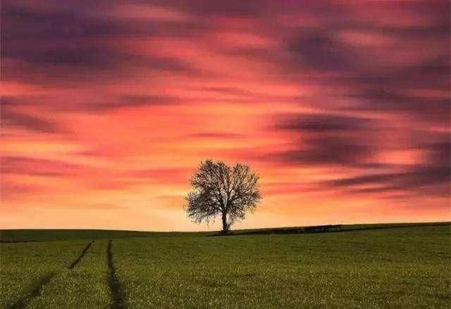 逼格|手机摄影7个高级拍摄技巧,手机一样可以拍出高逼格照片