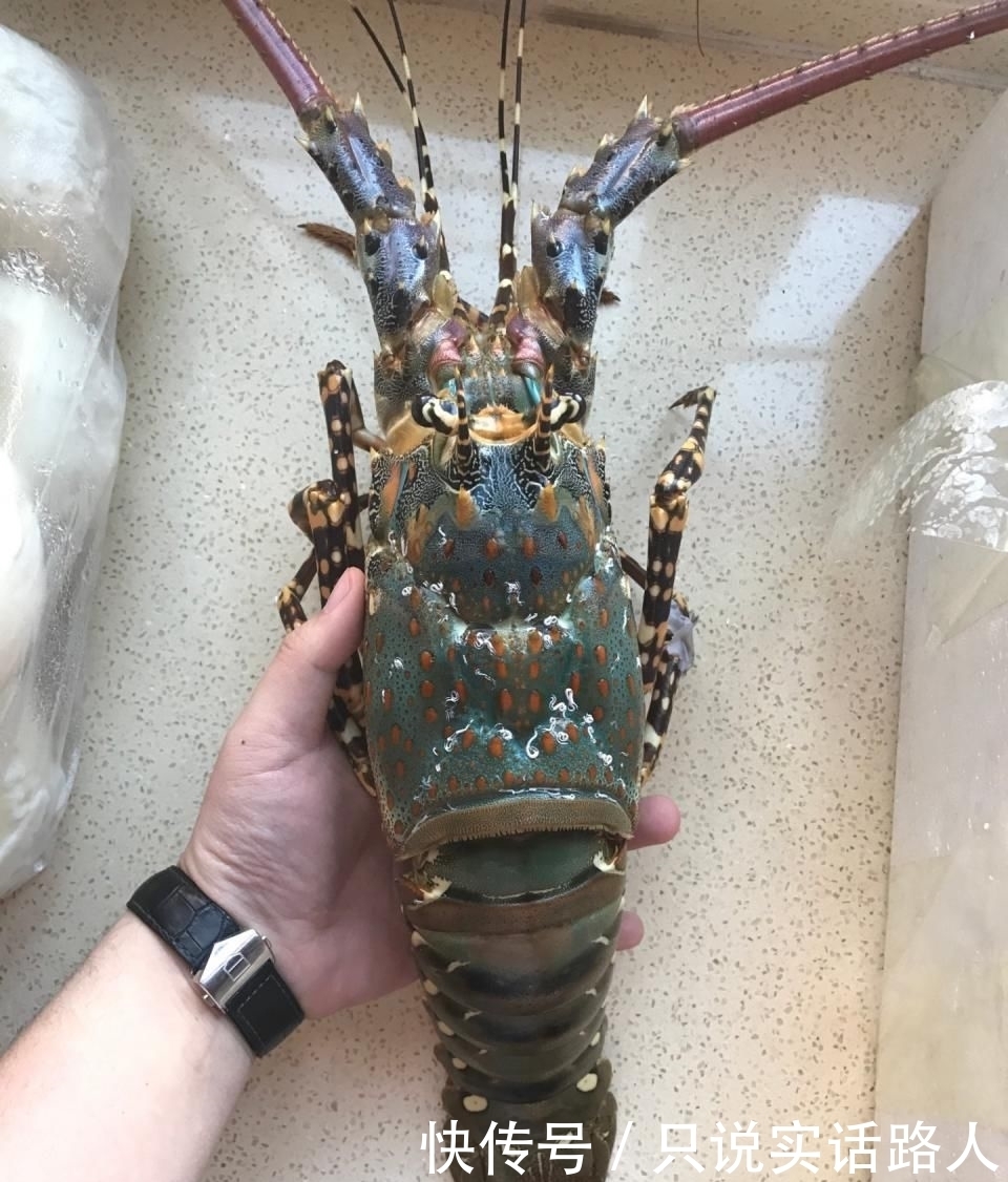  复苏|【复苏】盘点那些年吃过的记忆