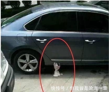 做错|爆笑GIF: 今天把车开回来, 被老婆罚跪了, 我哪里做错了吗?