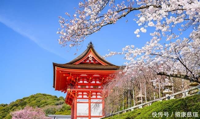 扶桑|扶桑国的由来