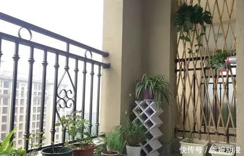 小户型|闺蜜婚前买的公寓小户型,拿到房产证后却发现婆婆竟然也是户主