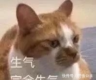 闲逛|男子半夜小区内“闲逛”,竟为了做这事!警方:手表帮忙破案