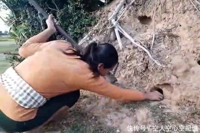 挖开|女子在地里劳作时发现一个洞，挖开后发现这好东西！