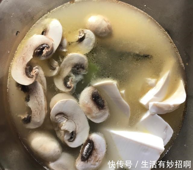 好喝|豆腐的绝配,炖出来的汤比鸡汤还好喝,好吃又营养