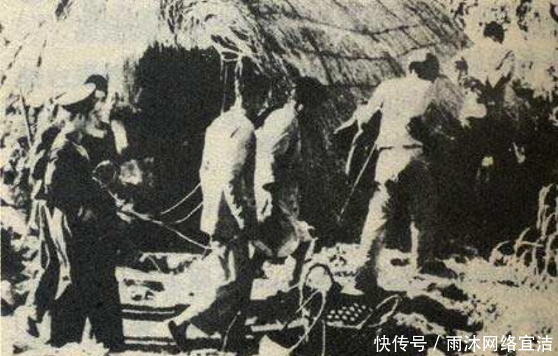  头目|苦水里泡大的渔家娃，成了海匪头目，被司令员降服后终成海军名将