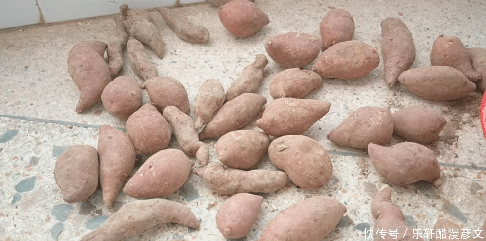 红薯|20斤红薯做客家传统小吃,香甜软糯做法简单,一开吃就停不下来