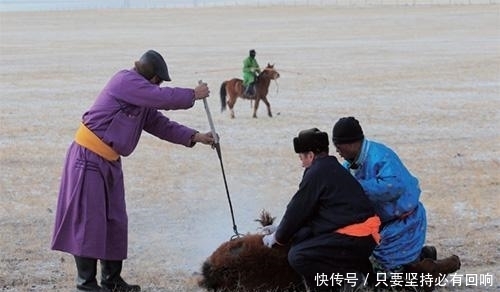 马匹|你知道打马印是什么吗？为何蒙古草原的马有烙印？长见识了