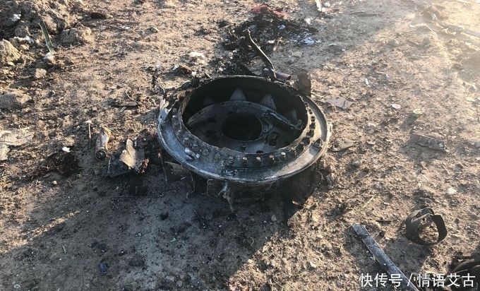 乘客|首次披露!遭击落乌克兰客机曾两次被导弹击中,第一次击中后乘客还活着