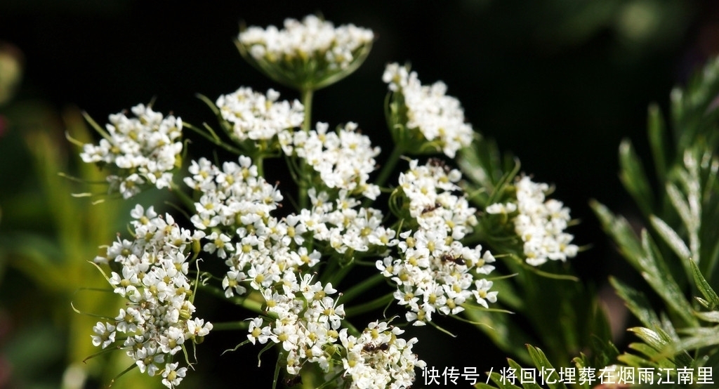  表里如一|十二星座外表和内心相差指数是多少？有人表里如一，有人深藏不露