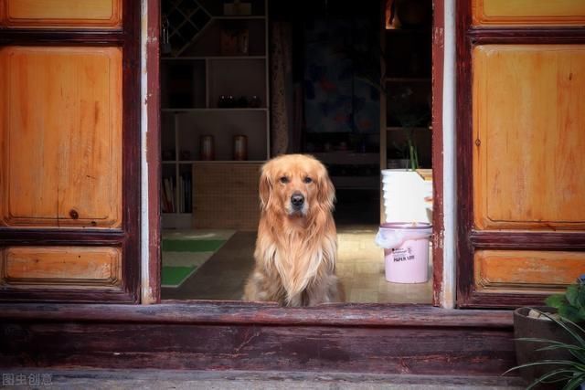  行人|这样为狗拴绳，照样影响别人，算不上文明养犬