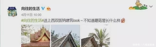 开录|《向往4》被曝低调开录,拟邀嘉宾无一加盟,参加明星被嘲无聊