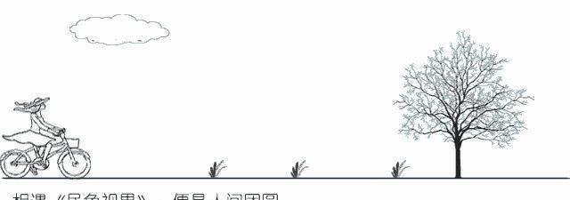 眼下|南瓜藤眼下的爽口菜,不同的人做出了不同的味道