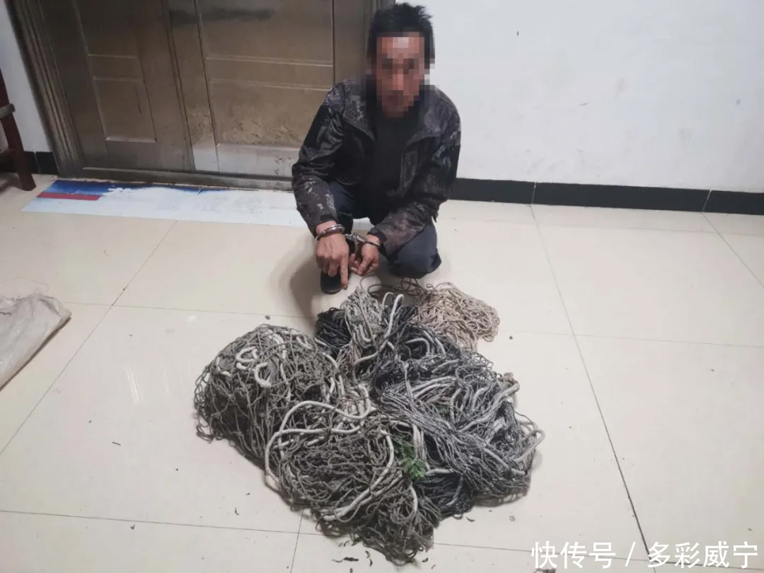 宁海|山中布网抓岩羊 威宁海拉四名男子把自己给“捕”了