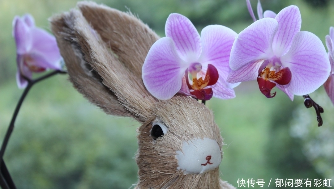 轻松|未来十天内财神降临地四大生肖,轻松发财,看看有没有你