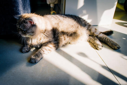 遗书|大连理工大学研究生在实验室自杀，看完他的遗书我久久不能平静