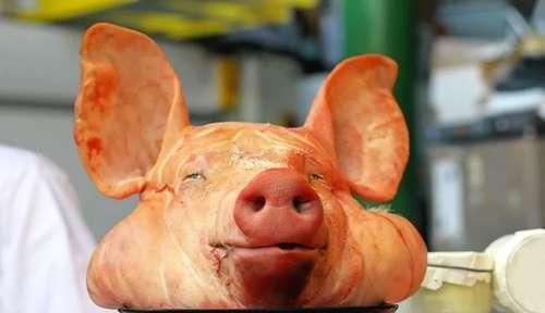 喜欢|美食之路义无反顾:为什么那么多人喜欢猪头肉 小时候不懂, 现在才知道原因