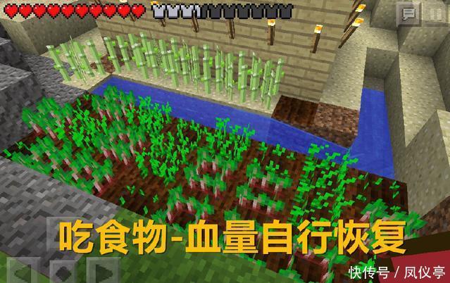 世界|我的世界：回复血量的方法，第四太厉害了，砸锅卖铁也要建一个！