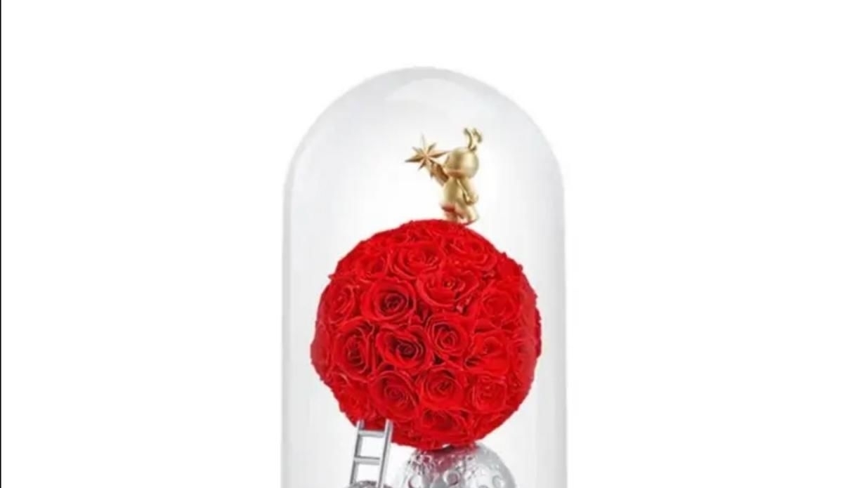  星球|肖战：《玫瑰星球》售罄，秒空，是小飞侠干的吗？