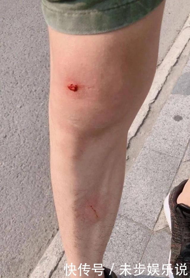  咖馆|网红猫咖馆背后的隐患！！！