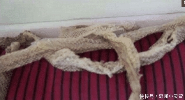 大妈|大妈在家找到旧围巾, 戴上眼镜看清后, 她果断选择报警