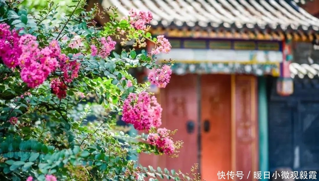  浅谈|浅谈秀丽东方IP对成都公园城市建设的借鉴作用