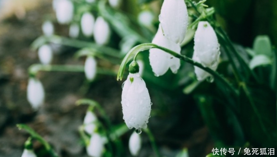 全身|九月下旬开始,好事如云,好运弥漫绕全身,贵人运红火的生肖