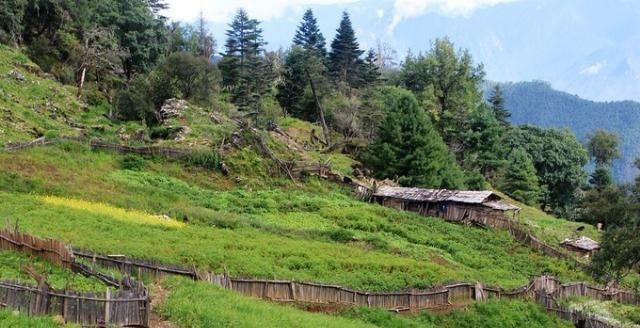 神山|无深度不云南——丽江巴拉神山徒步穿越攻略