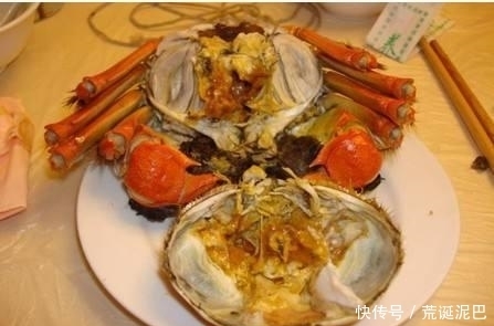 大闸蟹|金秋送爽,选螃蟹有技巧,看准这几点,个顶个的肥美多汁