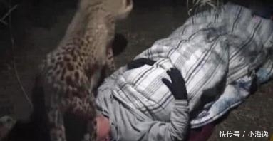 野营|男子野营不搭帐篷，夜深却感觉很暖和，好奇睁眼后又默默闭上了！