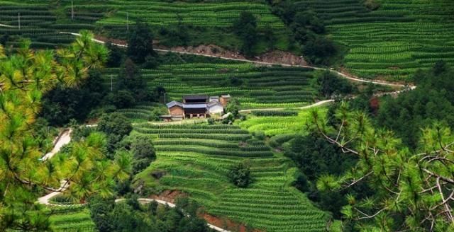 神山|无深度不云南——丽江巴拉神山徒步穿越攻略