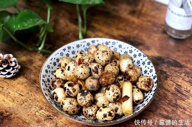 营养|它是动物中的人参,是零食又是菜,营养不输鸡蛋,我家隔三差五吃