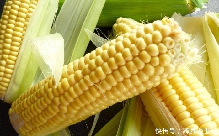 此物|提个醒:煮玉米时不能放此物,吃了就是没病找病,现在知道还不晚