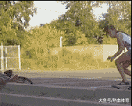 下雪|搞笑GIF:就喜欢下雪,每次都这样,不想回家!