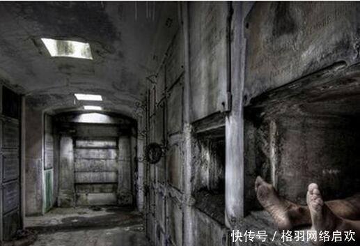  厉害|墓穴中最厉害的杀手，比尸毒更可怕