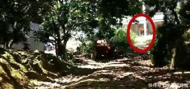 发生|10岁男童目睹父亲被邻居杀害，十年追凶，成功助警方将嫌疑人抓获
