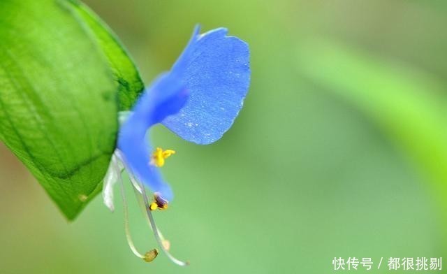  匆匆|感叹岁月匆匆，悲秋伤春自古皆然