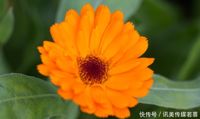 恋爱|恋爱中、乖巧懂事的星座女，没有隔夜仇，容易因爱释怀