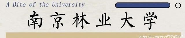 高校|开学进行时!南京这8所高校美食,6块5喂饱你的青春……