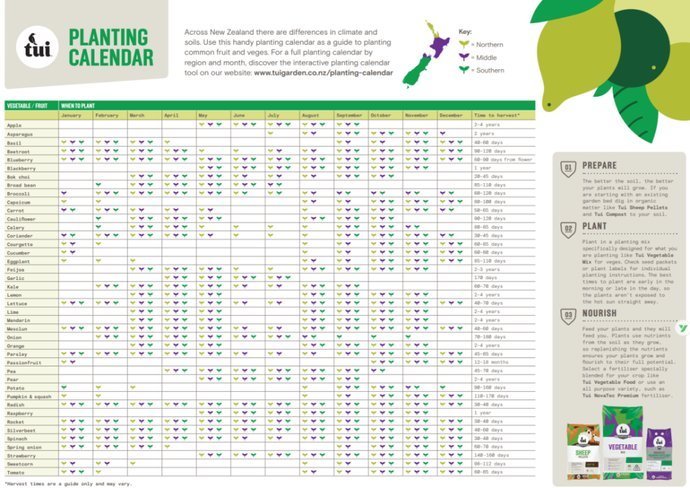 适合|冬天吃不起菜新西兰华人6月种菜攻略,适合新人上手