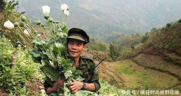 金三角地区|他世界上最大的毒枭, 却从不贩毒给中国, 这是怎么回事呢?
