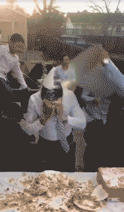  小姐姐|搞笑GIF：小姐姐，你能告诉我吗？你的身材怎么这么好啊！