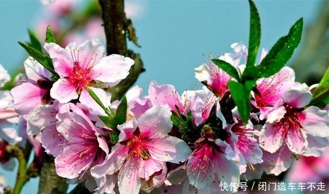  星座|活泼好动的几大星座，放荡不羁爱自由，是很多孩子眼中的理想父母