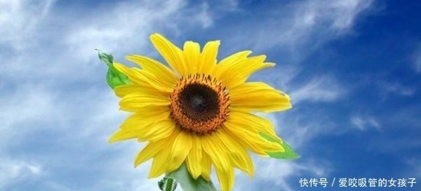 牢记|想要人生大富大贵,牢记以下3个口诀,有钱人都知道!