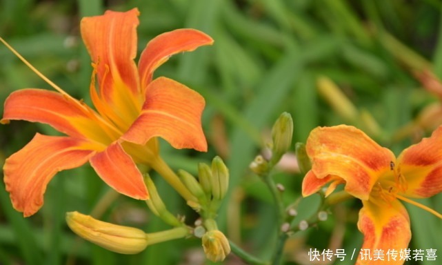 恋爱|恋爱中、乖巧懂事的星座女，没有隔夜仇，容易因爱释怀