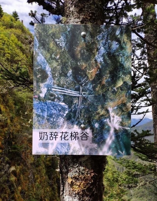 神山|无深度不云南——丽江巴拉神山徒步穿越攻略