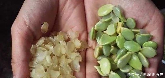 我国|原产自我国,果实在古代是贡品,儿时用它煮糖水喝,如今100元1斤