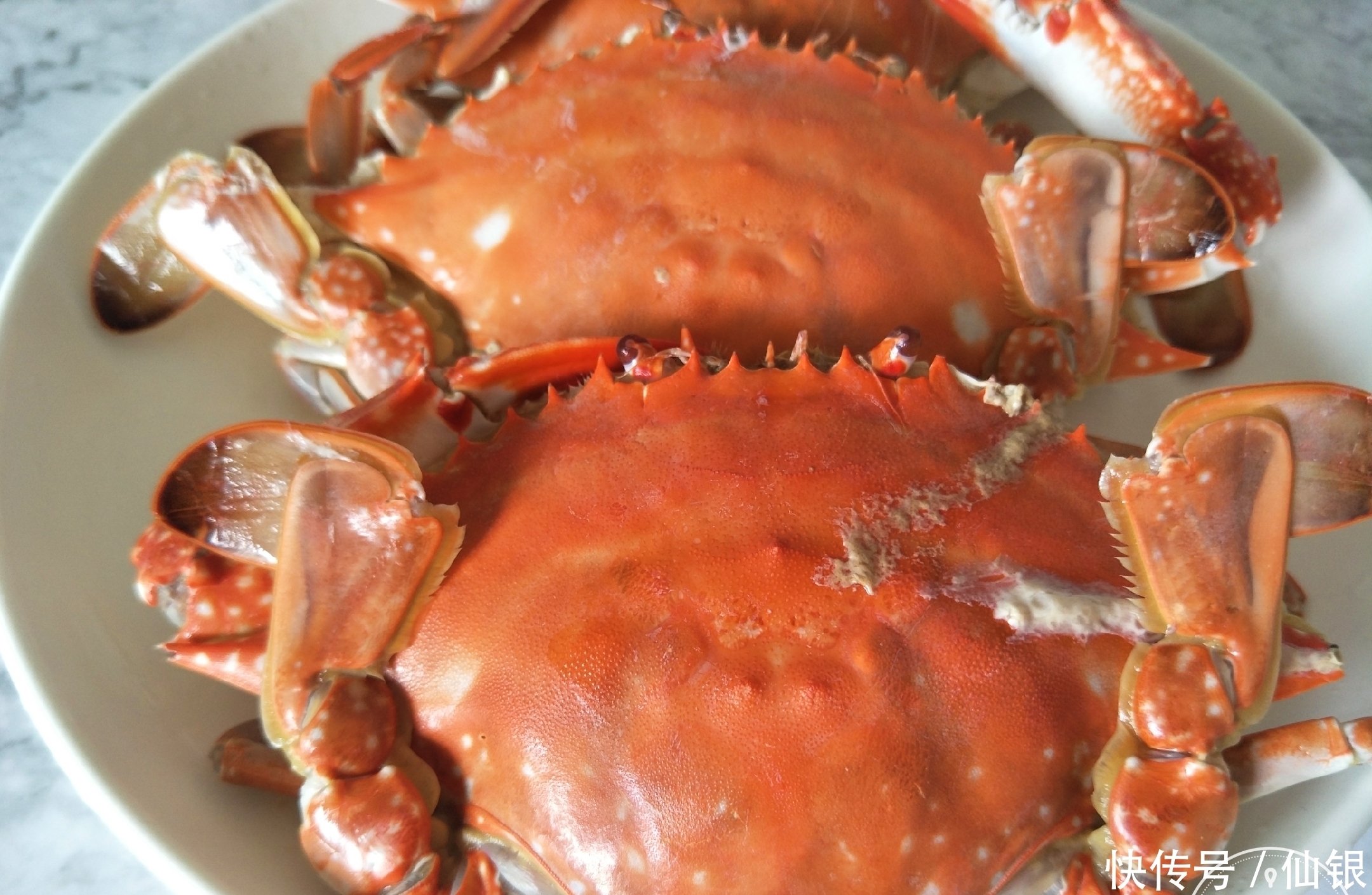 选出|买螃蟹时,公的肉多还是母的?教你1招,选出好吃螃蟹